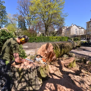 Broyeur de branches en action dans un parc.
